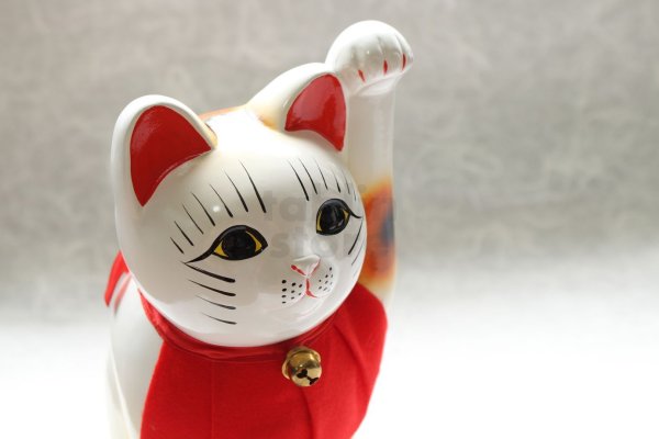 Photo5: Japanese Lucky Cat Tokoname ware YT Porcelain Maneki Neko slim white H25cm (5)