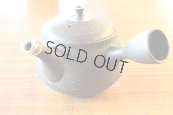Photo3: Tokoname ware Japanese tea pot kyusu ceramic strainer YT Hokuryu biridashi 180ml (3)