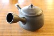 Photo2: Tokoname ware Japanese tea pot kyusu ceramic strainer YT Hokuryu biridashi 180ml (2)