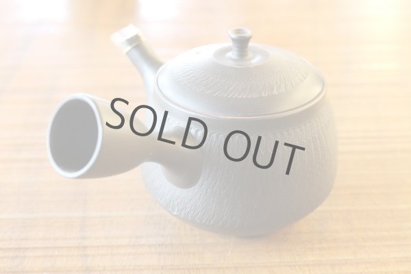 Photo2: Tokoname ware Japanese tea pot kyusu ceramic strainer YT Hokuryu biridashi 180ml (2)