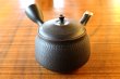 Photo1: Tokoname ware Japanese tea pot kyusu ceramic strainer YT Hokuryu biridashi 180ml (1)
