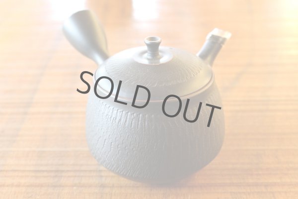 Photo1: Tokoname ware Japanese tea pot kyusu ceramic strainer YT Hokuryu biridashi 180ml (1)