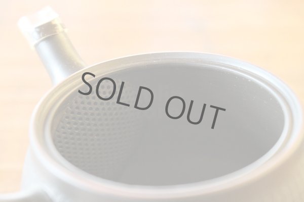 Photo4: Tokoname ware Japanese tea pot kyusu ceramic strainer YT Hokuryu biridashi 180ml (4)