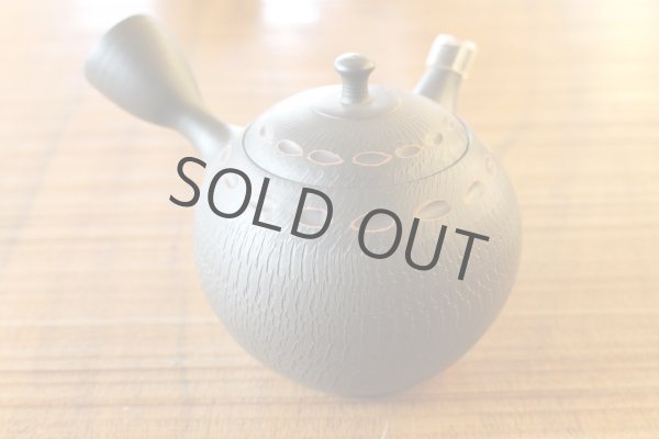 Photo1: Tokoname ware Japanese tea pot kyusu ceramic strainer YT Hokuryu birishu 180ml (1)