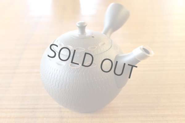 Photo4: Tokoname ware Japanese tea pot kyusu ceramic strainer YT Hokuryu birishu 180ml (4)