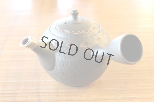 Photo3: Tokoname ware Japanese tea pot kyusu ceramic strainer YT Hokuryu birishu 180ml (3)