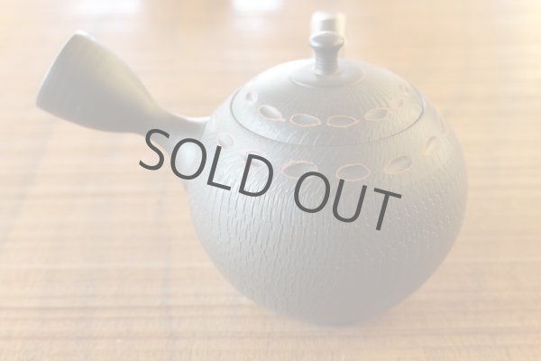 Photo2: Tokoname ware Japanese tea pot kyusu ceramic strainer YT Hokuryu birishu 180ml (2)