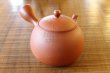 Photo1: Tokoname pottery YT Japanese tea pot kyusu shudei Komatsu red 220ml (1)