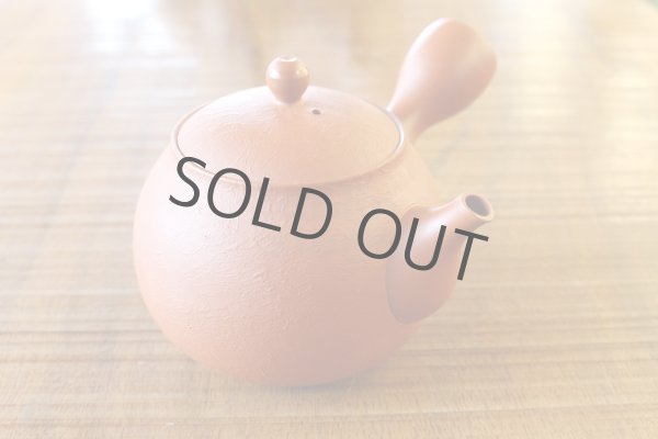 Photo2: Tokoname pottery YT Japanese tea pot kyusu shudei Komatsu red 220ml (2)