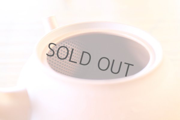 Photo5: Tokoname pottery YT Japanese tea pot kyusu shudei Komatsu red 220ml (5)