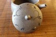 Photo9: Tokoname pottery YT Japanese tea pot kyusu yakishime Yutaka karakusa 300ml (9)