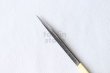 Photo4: Kiridashi Fruit Vegetable Carving knife Okeya Fujimaki thin white 2 steel (4)