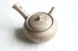 Photo10: Tokoname Japanese tea pot kyusu YT Yakishime butterfly sakura Seiho 300ml (10)