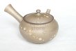 Photo9: Tokoname Japanese tea pot kyusu YT Yakishime butterfly sakura Seiho 300ml (9)