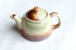 Photo9: Shigaraki pottery stainless tea strainer Japanese tea pot sho zaemon 500ml (9)