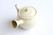Photo7: Tokoname Japanese tea pot kyusu ceramic strainer Kenji shin nerikomi 360ml (7)