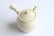 Photo6: Tokoname Japanese tea pot kyusu ceramic strainer Kenji shin nerikomi 360ml (6)