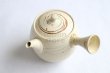 Photo10: Tokoname Japanese tea pot kyusu ceramic strainer Kenji nerikomi bi carved 360ml (10)