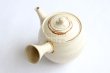 Photo9: Tokoname Japanese tea pot kyusu ceramic strainer Kenji nerikomi bi carved 360ml (9)