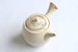 Photo7: Tokoname Japanese tea pot kyusu ceramic strainer Kenji nerikomi bi carved 360ml (7)