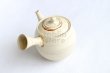Photo3: Tokoname Japanese tea pot kyusu ceramic strainer Kenji nerikomi bi carved 360ml (3)