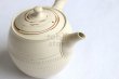 Photo2: Tokoname Japanese tea pot kyusu ceramic strainer Kenji nerikomi bi carved 360ml (2)