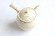 Photo5: Tokoname Japanese tea pot kyusu ceramic strainer Kenji shin nerikomi ren 360ml (5)