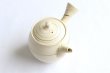 Photo4: Tokoname Japanese tea pot kyusu ceramic strainer Kenji shin nerikomi ren 360ml (4)