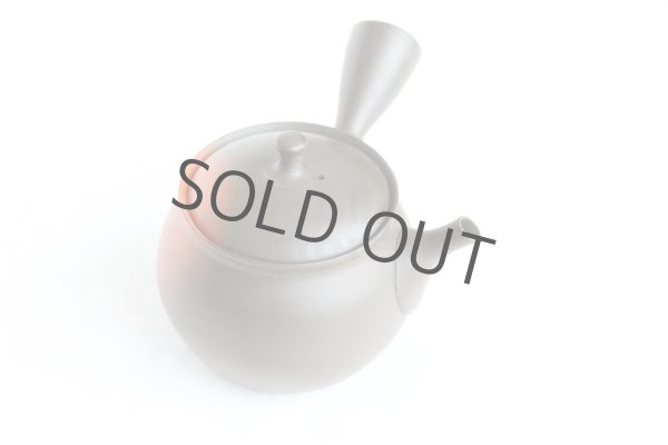 Photo10: Tokoname Japanese tea pot kyusu YT black yohen Shoryu 390ml (10)