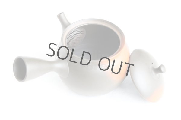 Photo8: Tokoname Japanese tea pot kyusu YT black yohen Shoryu 390ml (8)