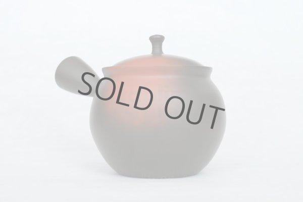 Photo4: Tokoname Japanese tea pot kyusu YT black yohen Shoryu 390ml (4)