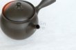 Photo2: Tokoname Japanese tea pot kyusu YT black yohen Shoryu 390ml (2)