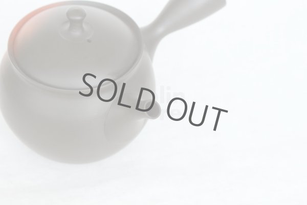 Photo2: Tokoname Japanese tea pot kyusu YT black yohen Shoryu 390ml (2)