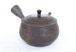 Photo1: Tokoname YT Japanese tea pot kyusu Gyokko pottery tea strainer hidasuki 150ml (1)