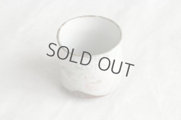 Photo13: Kutani Porcelain yunomi tea cup pottery tumbler cosumosu 380ml (13)