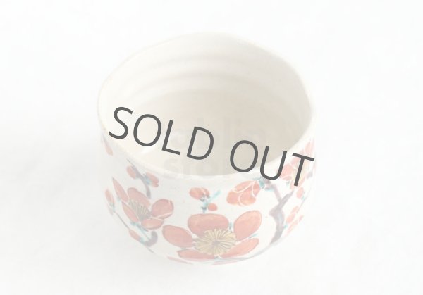 Photo12: Kutani porcelain Japanese Matcha chawan tea bowl yon ippuku red plum aka ume (12)