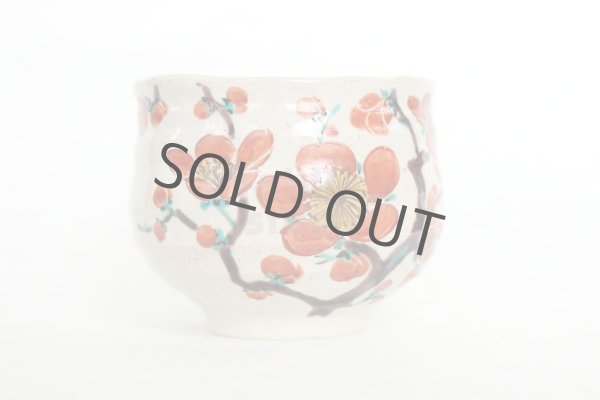 Photo7: Kutani porcelain Japanese Matcha chawan tea bowl yon ippuku red plum aka ume (7)