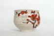 Photo10: Kutani porcelain Japanese Matcha chawan tea bowl yon ippuku red plum aka ume (10)