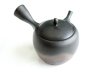 Photo10: Tokoname Japanese tea pot kyusu Gyokko pottery tea strainer komaru yohen 280ml (10)