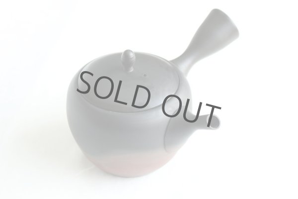 Photo9: Tokoname Japanese tea pot kyusu Gyokko pottery tea strainer komaru yohen 280ml (9)