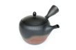 Photo4: Tokoname Japanese tea pot kyusu Gyokko pottery tea strainer komaru yohen 280ml (4)