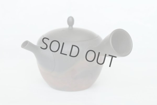 Photo3: Tokoname Japanese tea pot kyusu Gyokko pottery tea strainer komaru yohen 280ml (3)