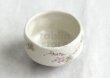 Photo2: Mino ware Japanese pottery tea ceremony bowl Matcha chawan Grapes leaf noten (2)