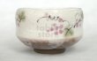 Photo7: Mino ware Japanese pottery tea ceremony bowl Matcha chawan Grapes leaf noten (7)