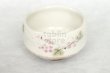 Photo8: Mino ware Japanese pottery tea ceremony bowl Matcha chawan Grapes leaf noten (8)