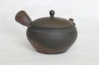 Photo6: Tokoname Japanese tea pot kyusu Gyokko pottery tea strainer youhen biri hi 250ml (6)