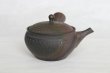 Photo7: Tokoname Japanese tea pot kyusu Gyokko pottery tea strainer youhen biri hi 250ml (7)