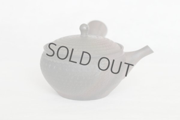 Photo7: Tokoname Japanese tea pot kyusu Gyokko pottery tea strainer youhen biri hi 250ml (7)