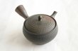 Photo8: Tokoname Japanese tea pot kyusu Gyokko pottery tea strainer youhen biri hi 250ml (8)