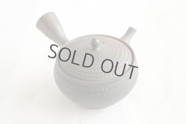 Photo8: Tokoname Japanese tea pot kyusu Gyokko pottery tea strainer youhen biri hi 250ml (8)